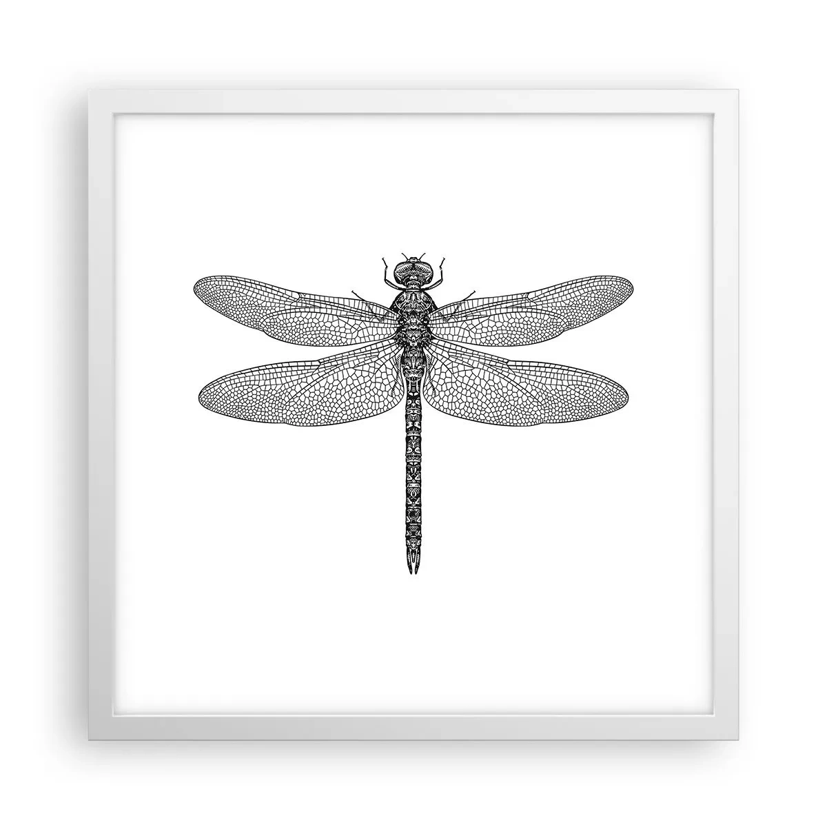 Affisch i vit ram - Precision i naturen - 40x40 cm