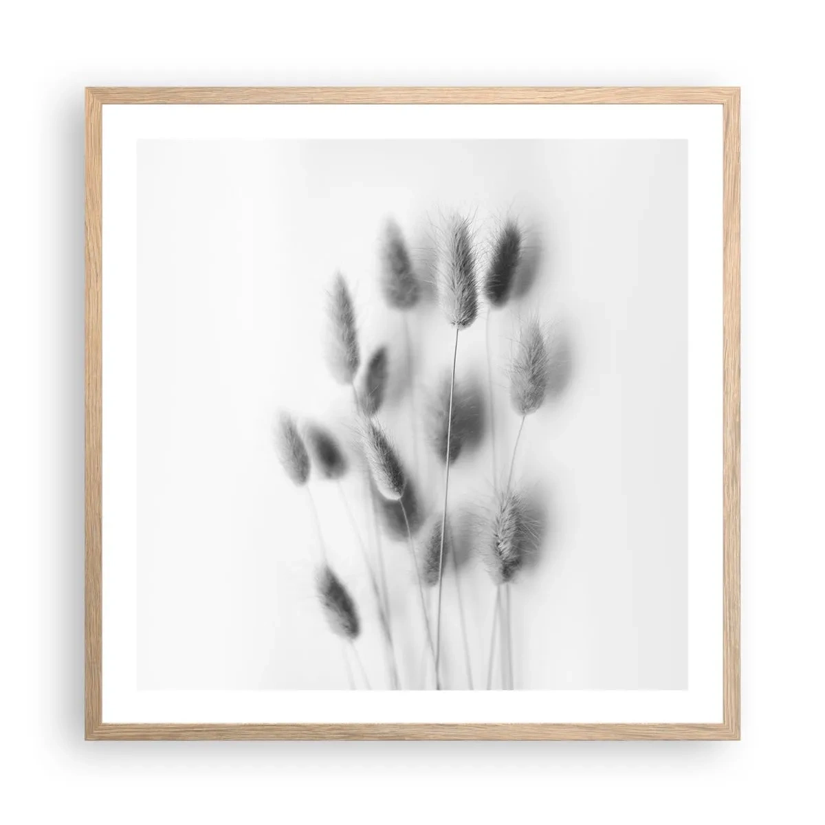 Affisch i ram av ljusek - Fluffigt gräs - 60x60 cm