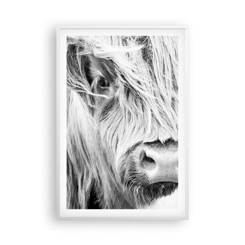 Affisch i vit ram - Skotsk vildhet - 61x91 cm