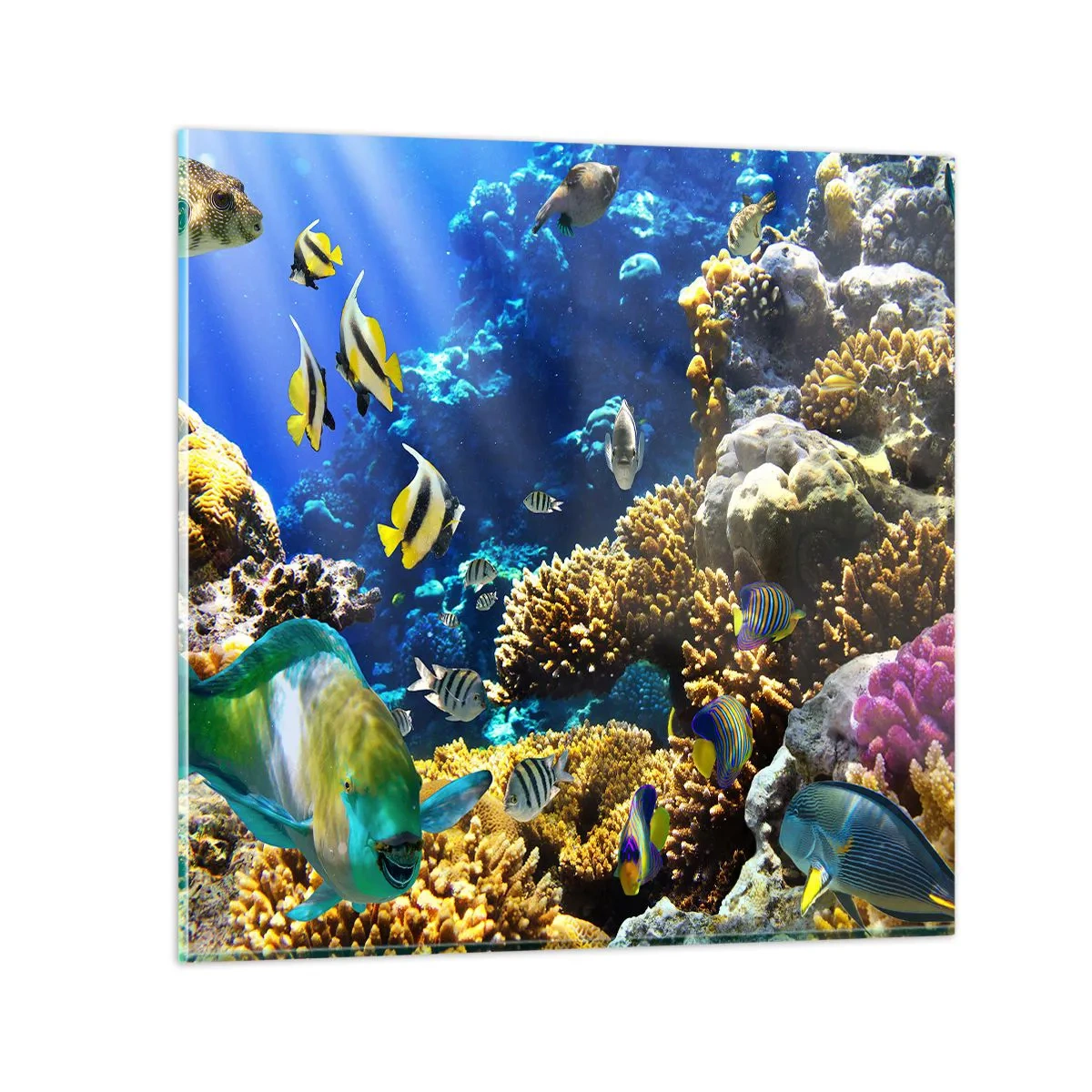 Glastavla - Bild på glas - Hög trafik på sommarleden - 40x40 cm