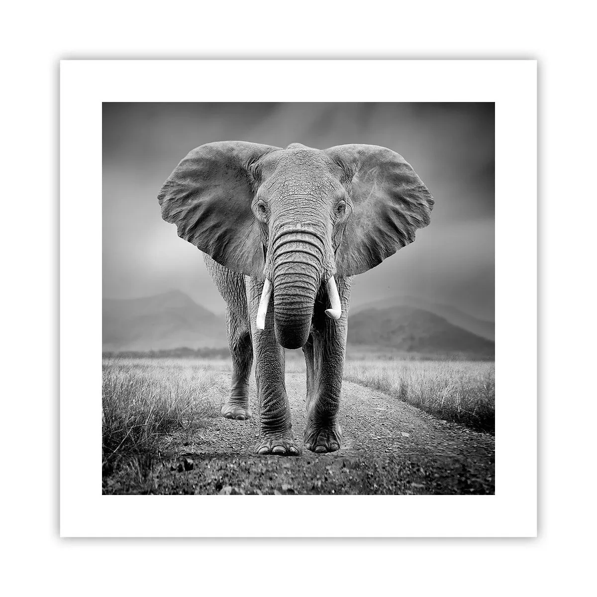 Affisch - Värden hälsar välkommen - 40x40 cm