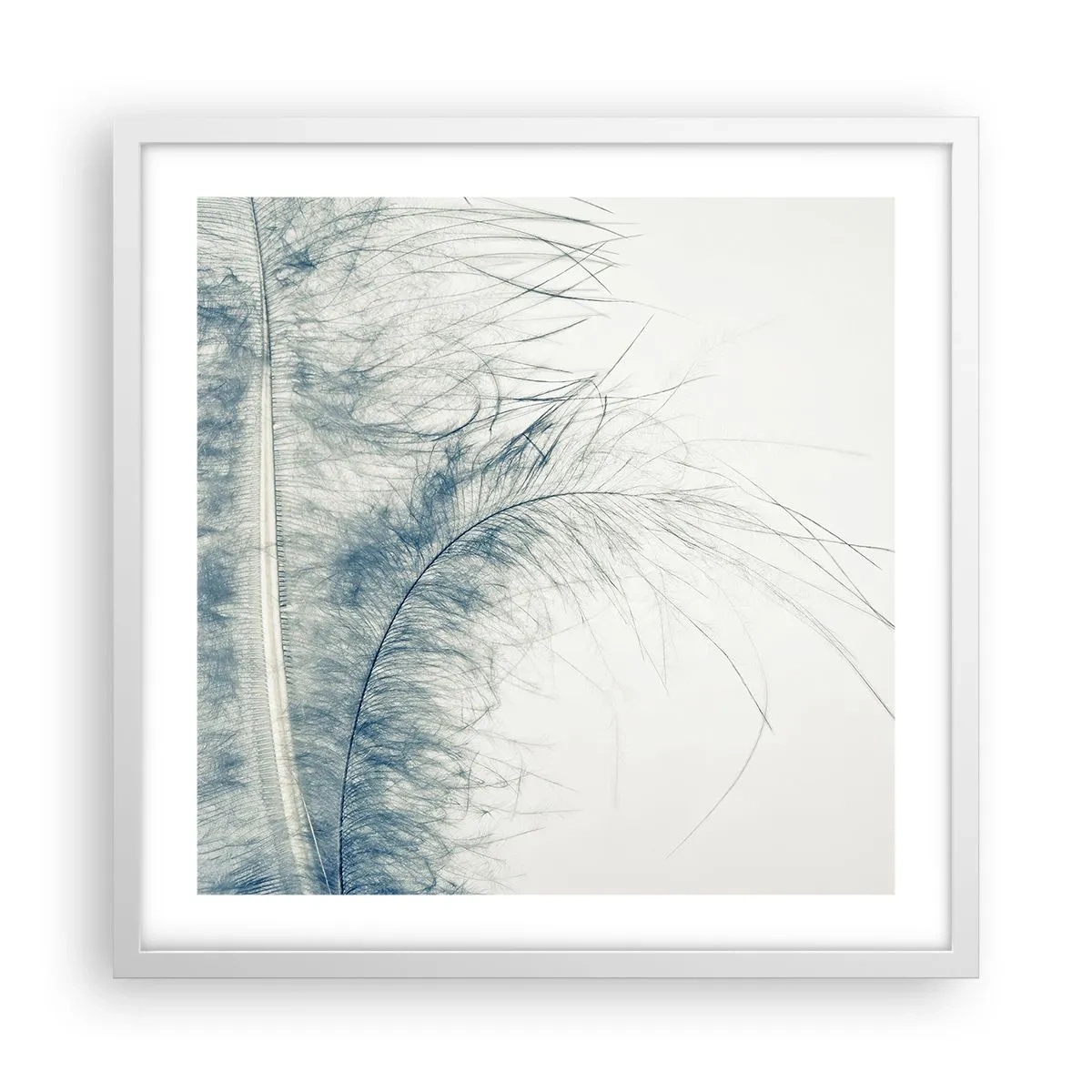 Affisch i vit ram - Naturens viskningar - 50x50 cm