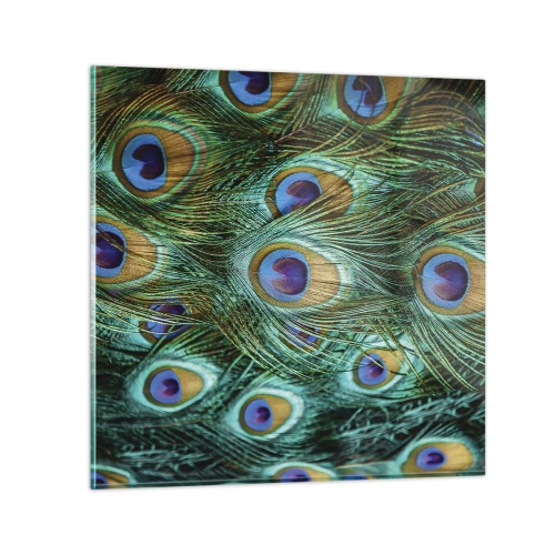 Glastavla - Bild på glas - Påfågels blick - 50x50 cm