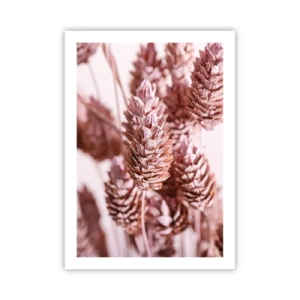 Affisch - Skenet bedrar - 50x70 cm