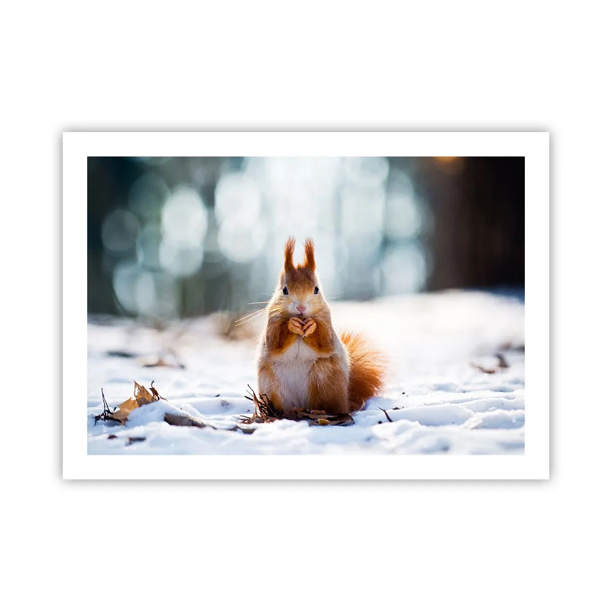 Affisch - Vad glor du på? - 70x50 cm