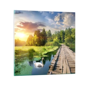 Glastavla - Bild på glas - Sommar, sommar överallt - 40x40 cm