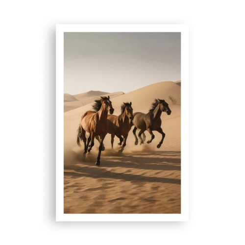 Affisch - Fri som vinden - 61x91 cm