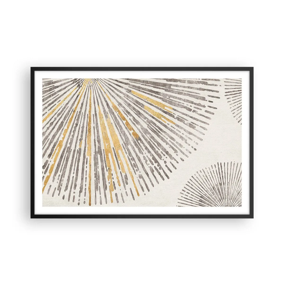 Affisch i svart ram - Radiens skönhet - 91x61 cm