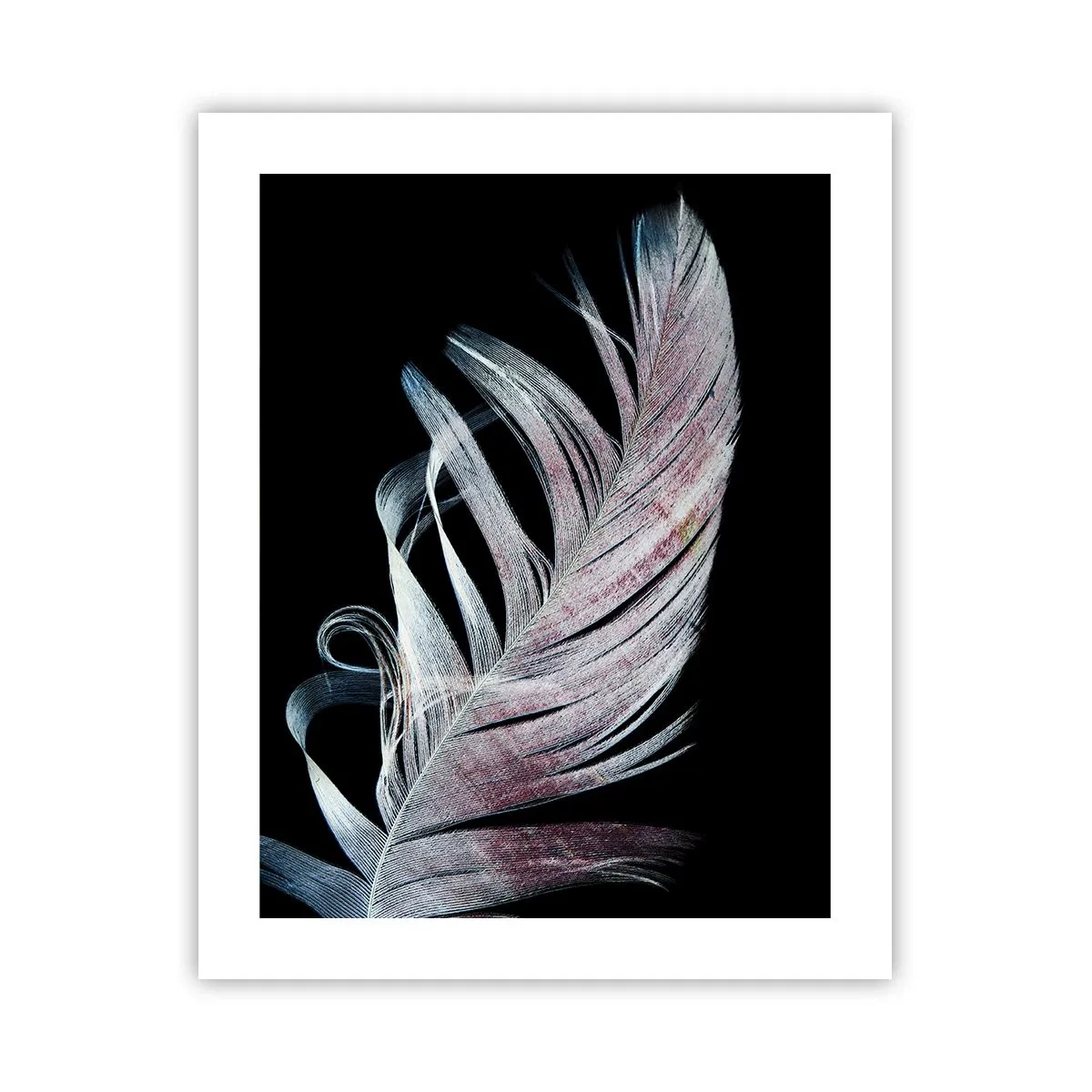 Affisch - Tänk på smekning - 40x50 cm