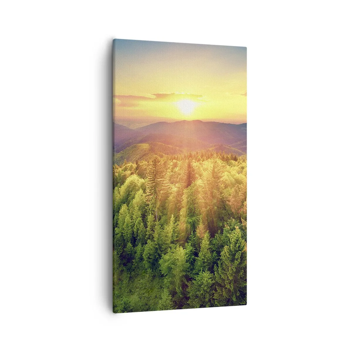 Canvastavla - Bild på duk - Trädtoppar och bergstoppar - 55x100 cm