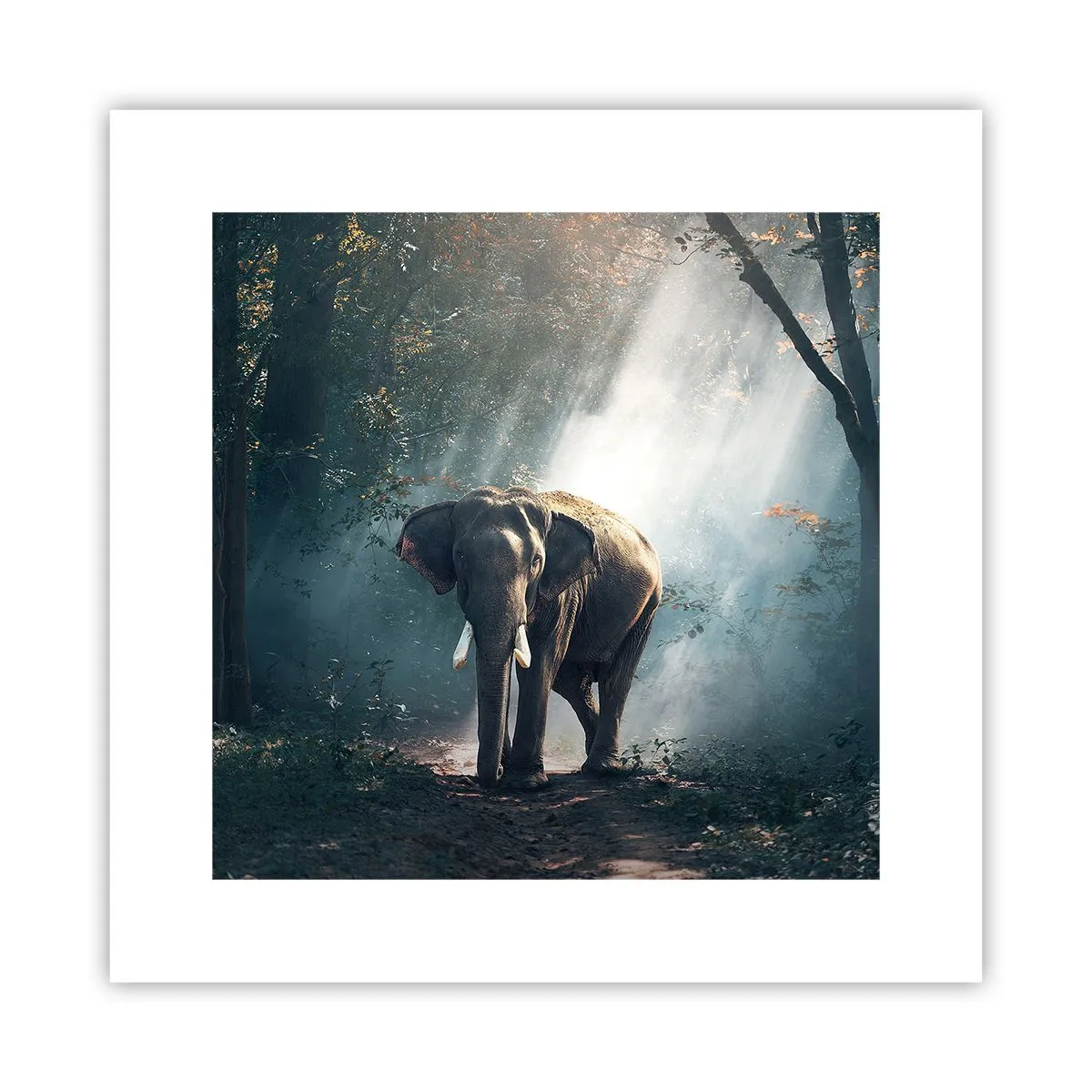 Affisch - Lugn promenad - 30x30 cm