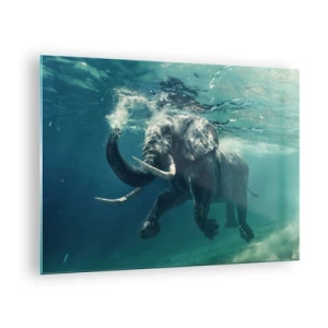 Glastavla - Bild på glas - En elefant som simmar under vattnet i det blå havet - 70x50cm - Alla tycker om att simma - Modern väggdekoration för vardagsrum och sovrum ARTTOR