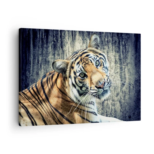 Canvastavla - Bild på duk - En tiger som ligger mot en grov texturerad vägg - 70x50cm - Porträtt i ljusstrålar - Modern väggdekoration för vardagsrum och sovrum ARTTOR