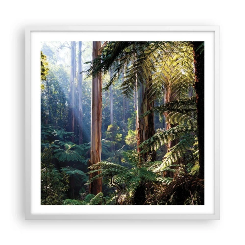 Affisch i vit ram - Skogens saga - 60x60 cm