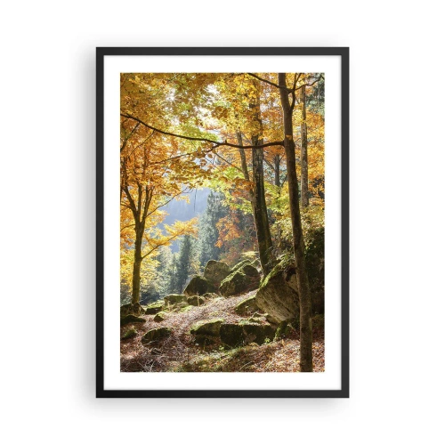 Affisch i svart ram - Höstskog med solstrålar och mossbeklädda stenar - 50x70cm - Dags att vila - Modern väggdekoration för vardagsrum och sovrum ARTTOR