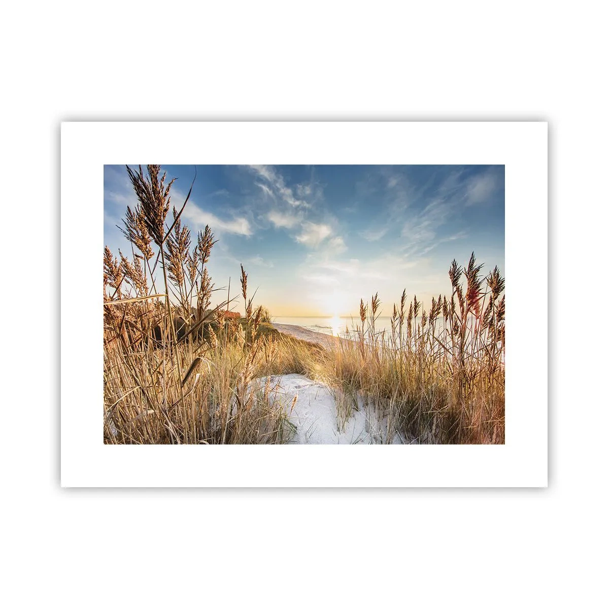 Affisch - Nordlig strand - 40x30 cm