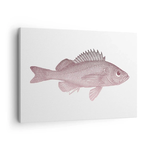 Canvastavla - Bild på duk - Detaljerad illustration av en fisk på vit bakgrund - 70x50cm - Storögd fisk - Modern väggdekoration för vardagsrum och sovrum ARTTOR