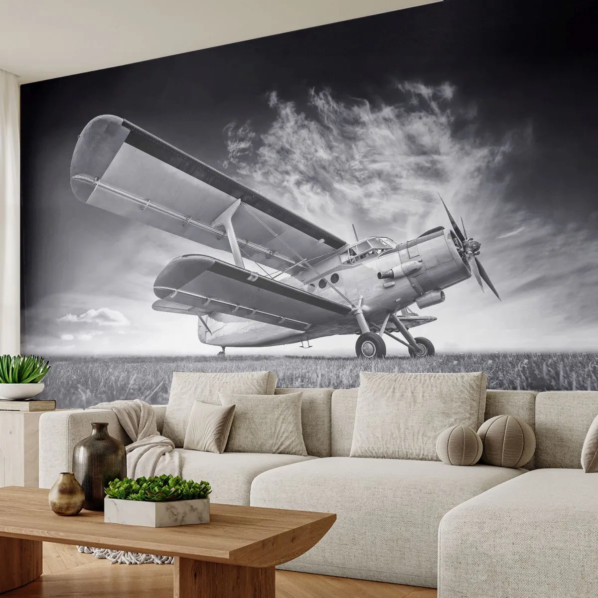 Fototapet Premium Canvas - Bevingad vandrare - Plan, Flygplan, Svartvitt - 350x256 cm
