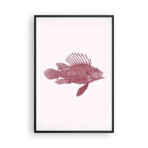 Affisch i svart ram - En invånare i exotiska vatten - 61x91 cm