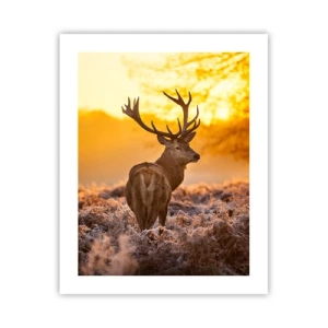 Affisch - Höstskogens kung - 40x50 cm