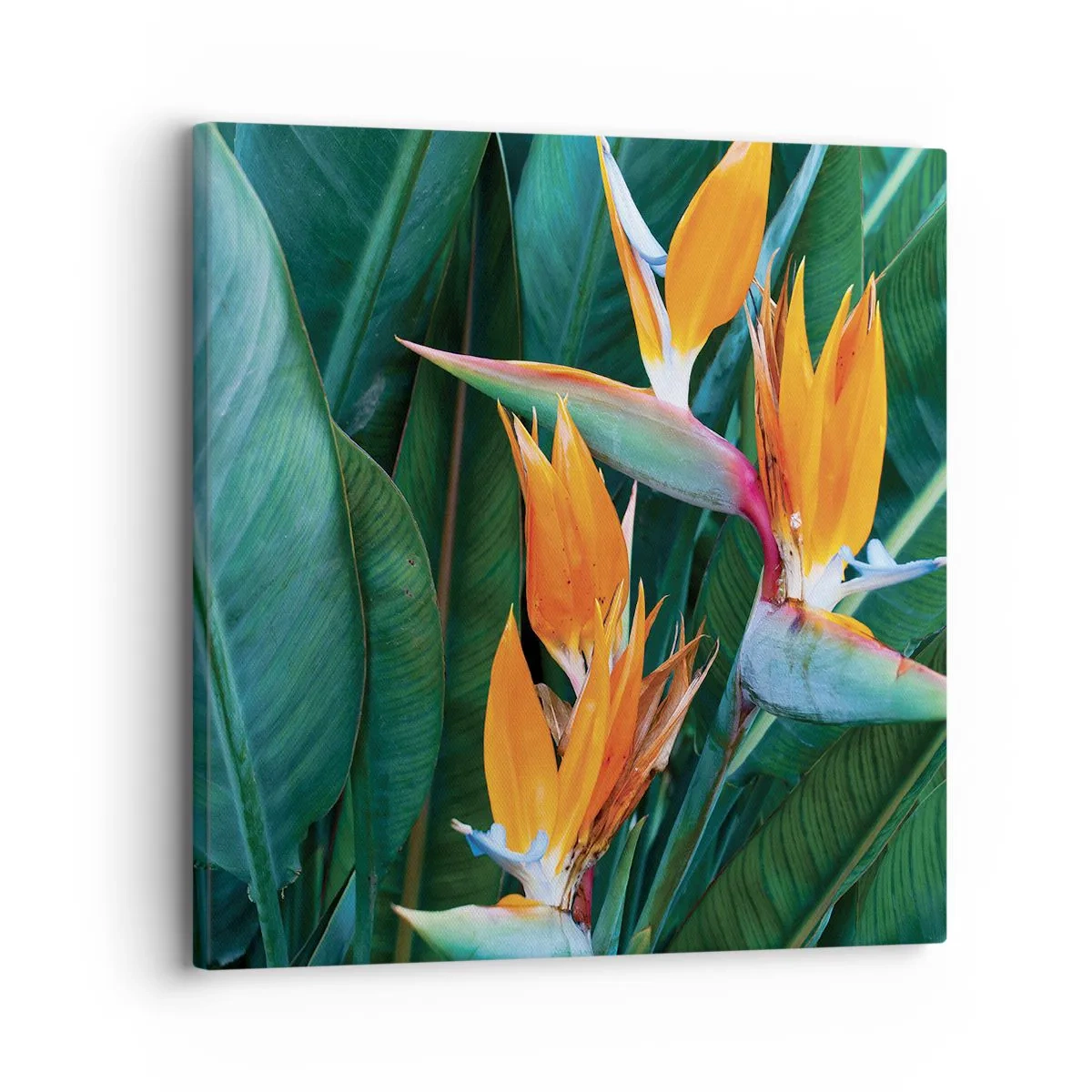 Canvastavla - Bild på duk - Är det en blomma, eller en fågel? - 30x30 cm