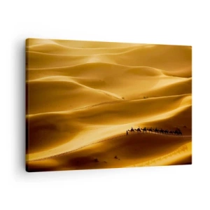 Canvastavla - Bild på duk - En karavan av kameler vandrar genom öknens gyllene sanddyner. - 70x50cm - En karavan på öknens vågor - Modern väggdekoration för vardagsrum och sovrum ARTTOR