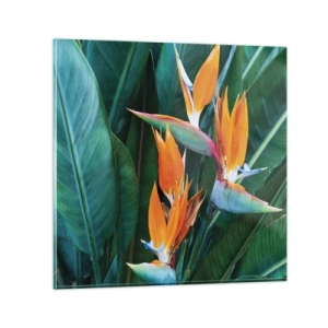 Glastavla - Bild på glas - Är det en blomma, eller en fågel? - 30x30 cm