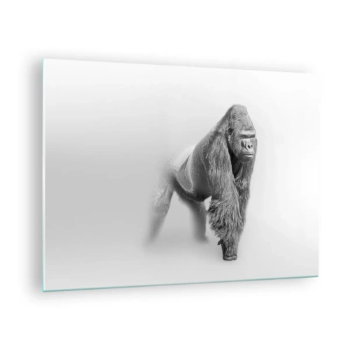 Glastavla - Bild på glas - Svartvitt porträtt av en majestätisk gorilla mot en vit bakgrund - 70x50cm - Övertygad om sin styrka - Modern väggdekoration för vardagsrum och sovrum ARTTOR