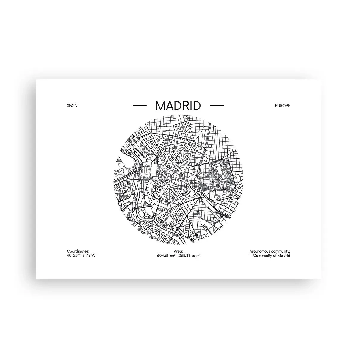 Affisch - Madrids anatomi - 100x70 cm