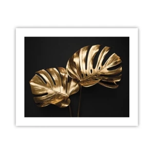 Affisch - Naturens skatter - 50x40 cm