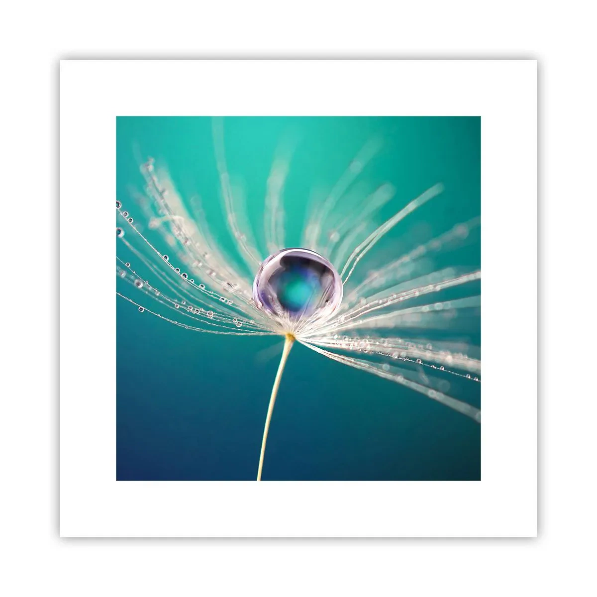 Affisch - Mystisk stund - 30x30 cm