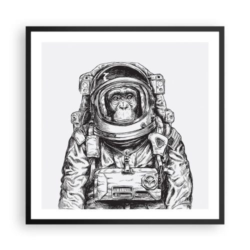 Affisch i svart ram - Alternativ evolution - 60x60 cm
