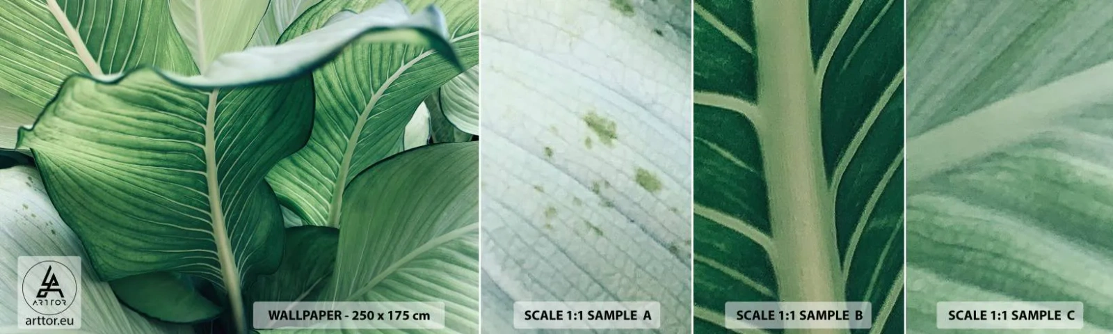 Fototapet Prov Standard Eco - Livet intensivt grönt - Löv, Exotisk, Botanisk - 100x30 cm