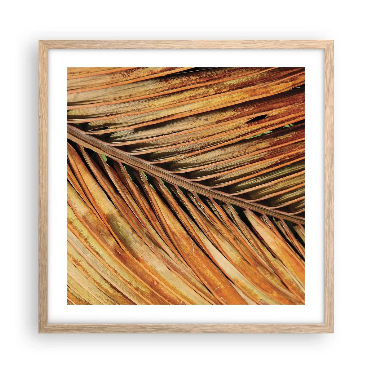 Affisch i ram av ljusek - Kokosguld - 50x50 cm