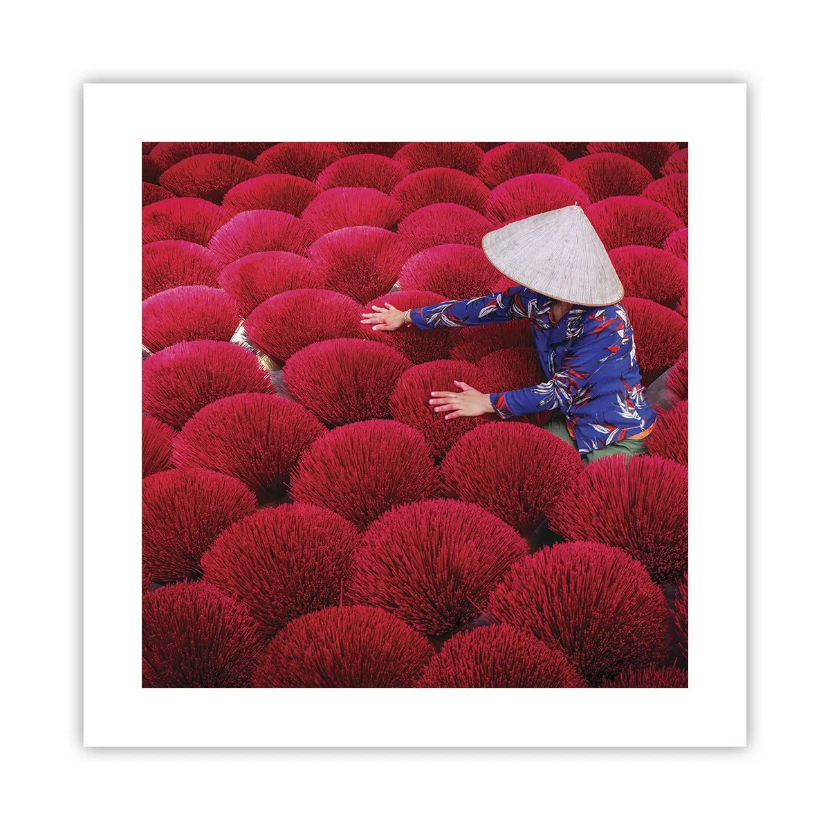 Affisch - På ett risfält - 40x40 cm