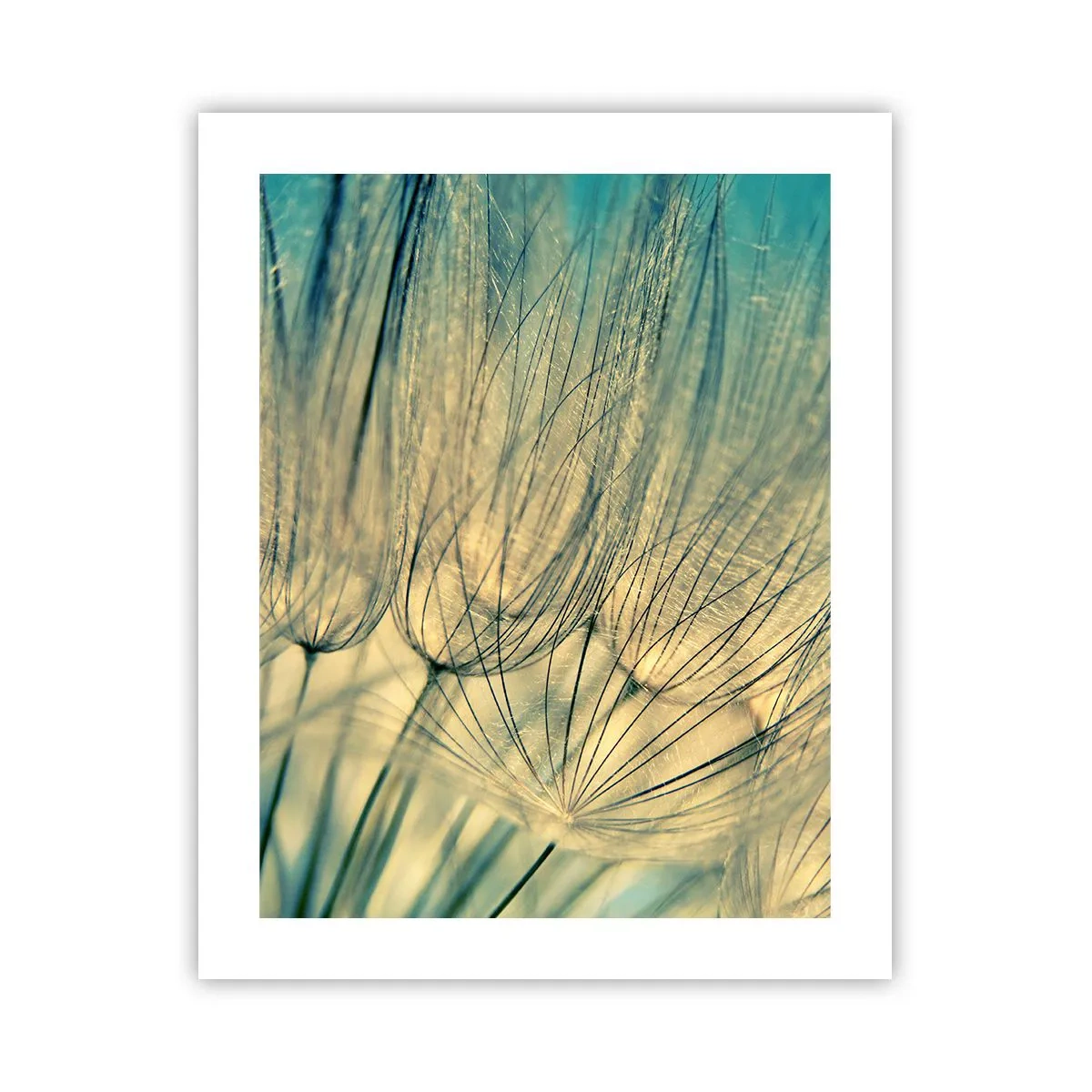 Affisch - I väntan på vinden - 40x50 cm