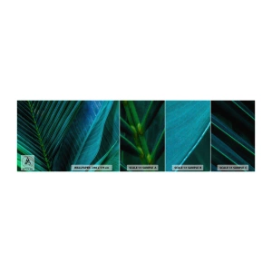 Provbit av självhäftande fototapet Deluxe Sticker - Grönskans anatomi - Gröna löv, Tropisk växt, Natur - 100x30 cm