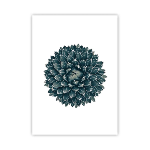 Affisch - Öknens stjärna - 50x70 cm
