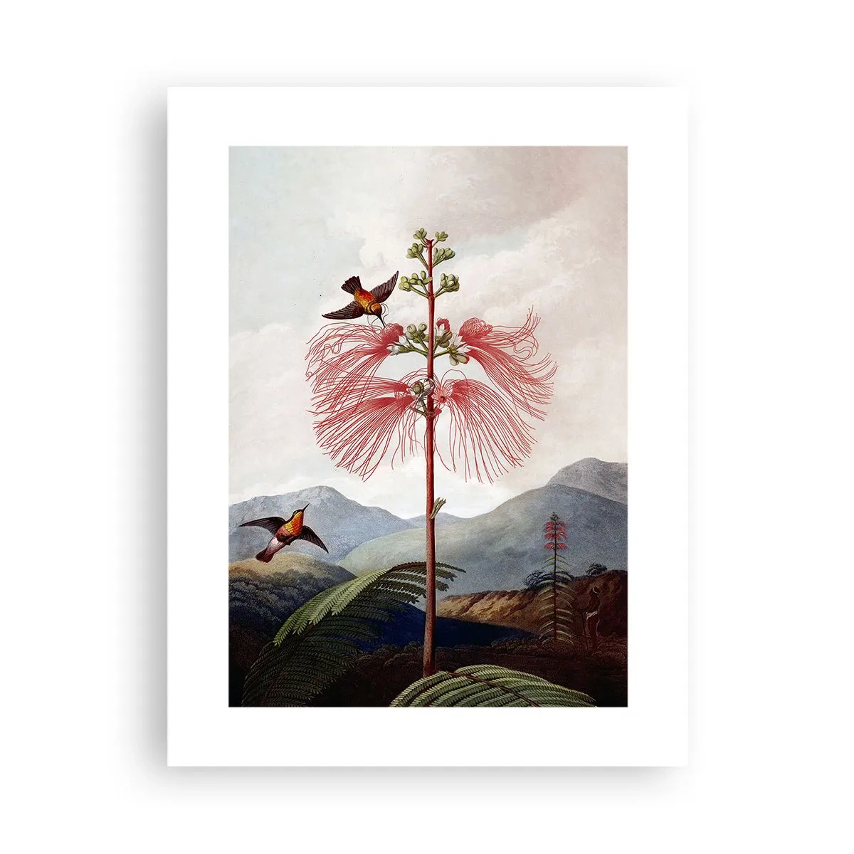 Affisch - I ett tropiskt paradis - 30x40 cm