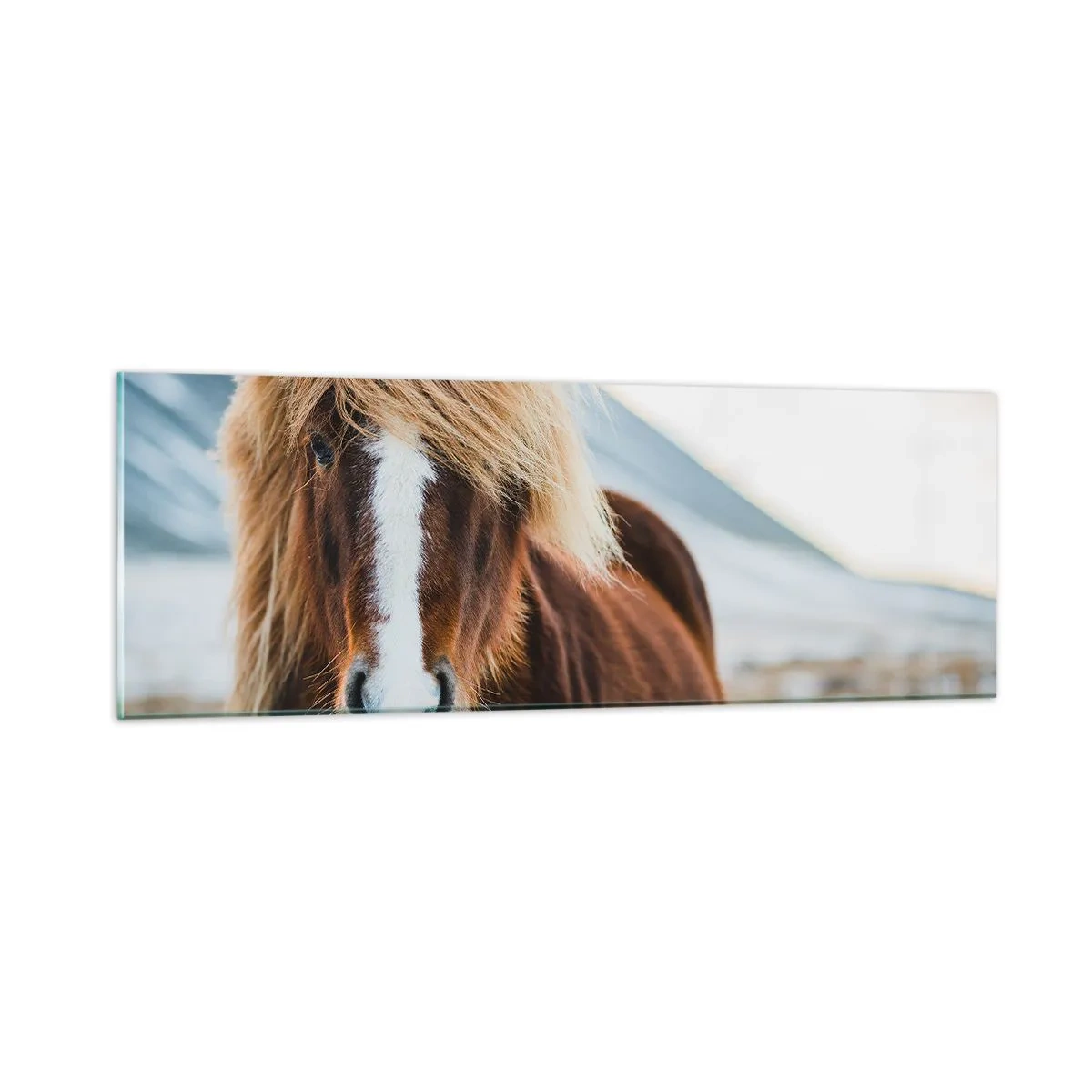 Glastavla - Bild på glas - Känner du friheten? - 90x30 cm