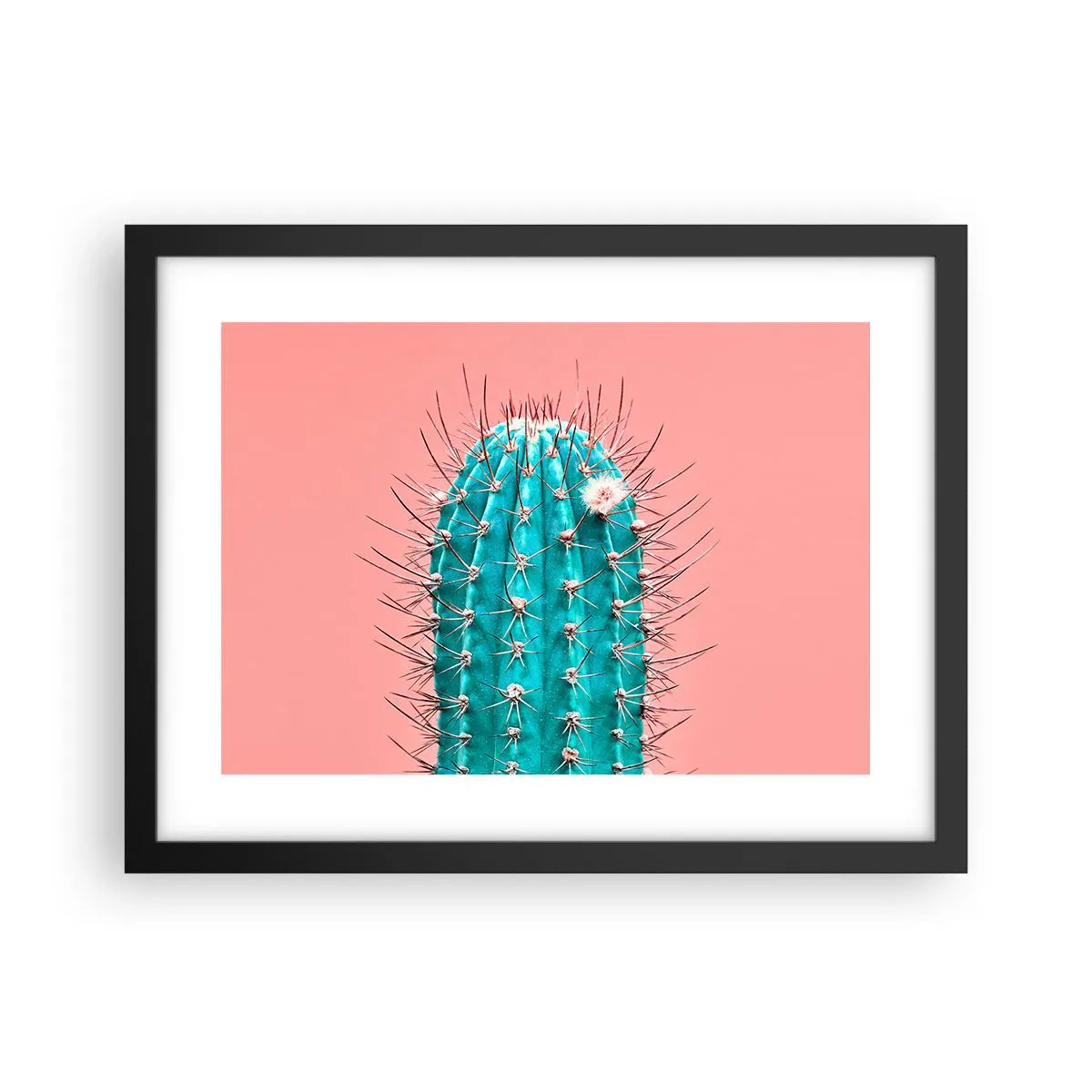 Affisch i svart ram - Titta bara - 40x30 cm