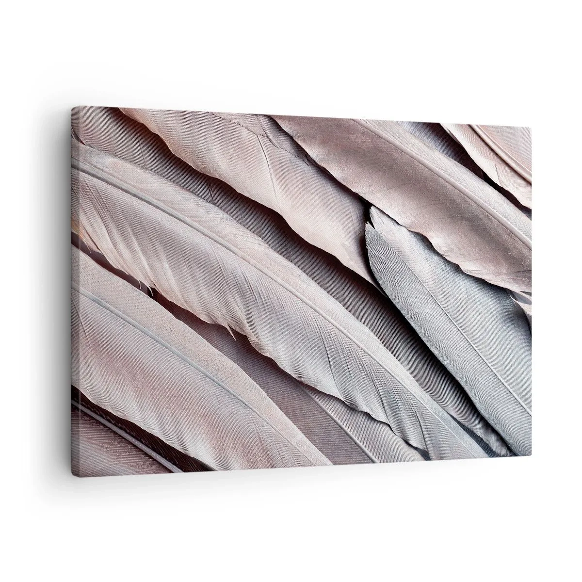 Canvastavla - Bild på duk - Fina fjädrar i diskreta nyanser av grått och beige - 70x50cm - I rosa silver - Modern väggdekoration för vardagsrum och sovrum ARTTOR