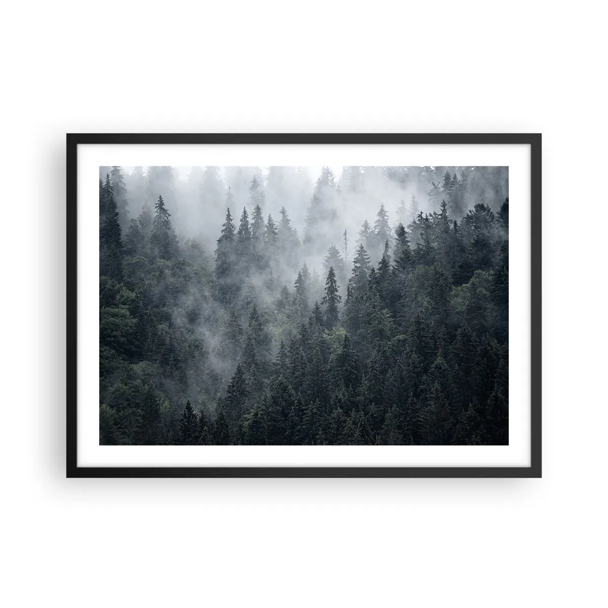 Affisch i svart ram - Gryning i skogen - 70x50 cm