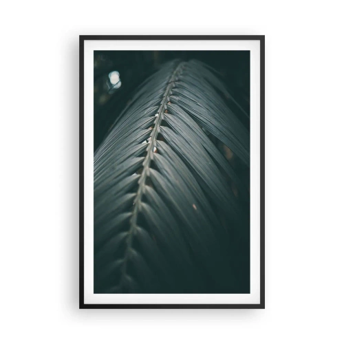 Affisch i svart ram - Naturens precision - 61x91 cm