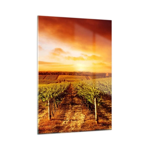 Glastavla - Bild på glas - Fina druvor med en gnutta sol - 50x70 cm