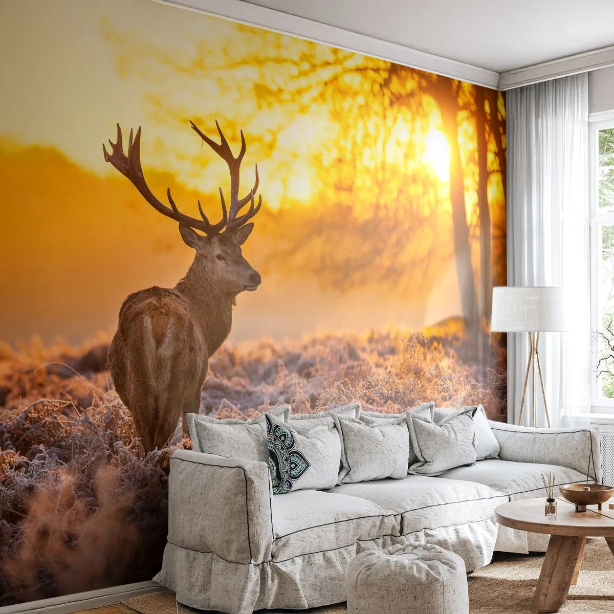 Självhäftande Fototapet Deluxe Sticker - Höstskogens kung - Landskap, Rådjur, Natur - 250x175 cm
