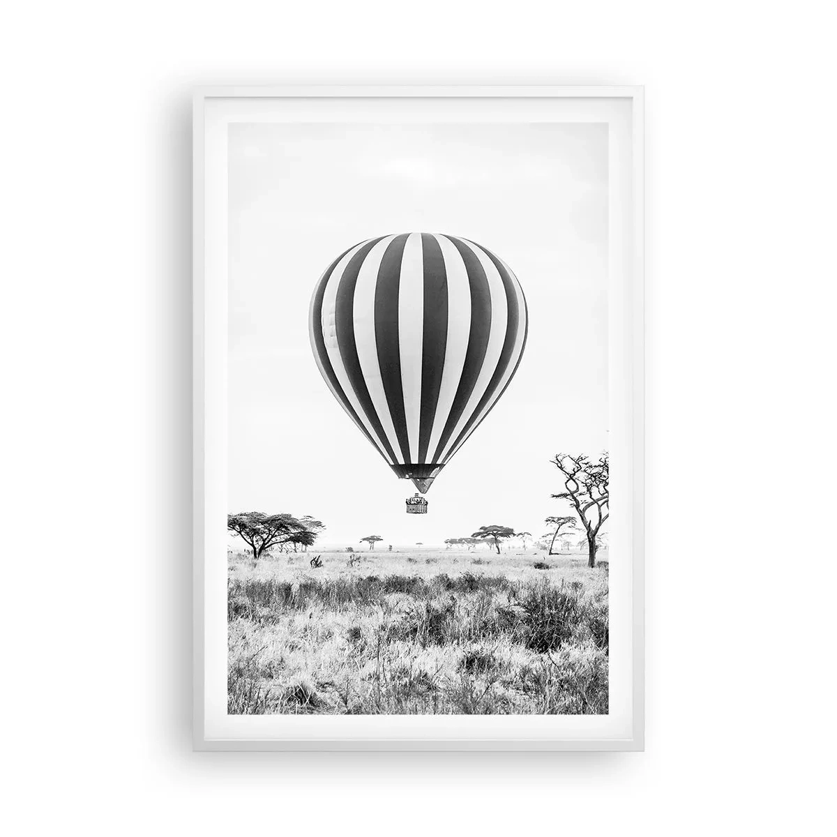 Affisch i vit ram - Över savannen - 61x91 cm