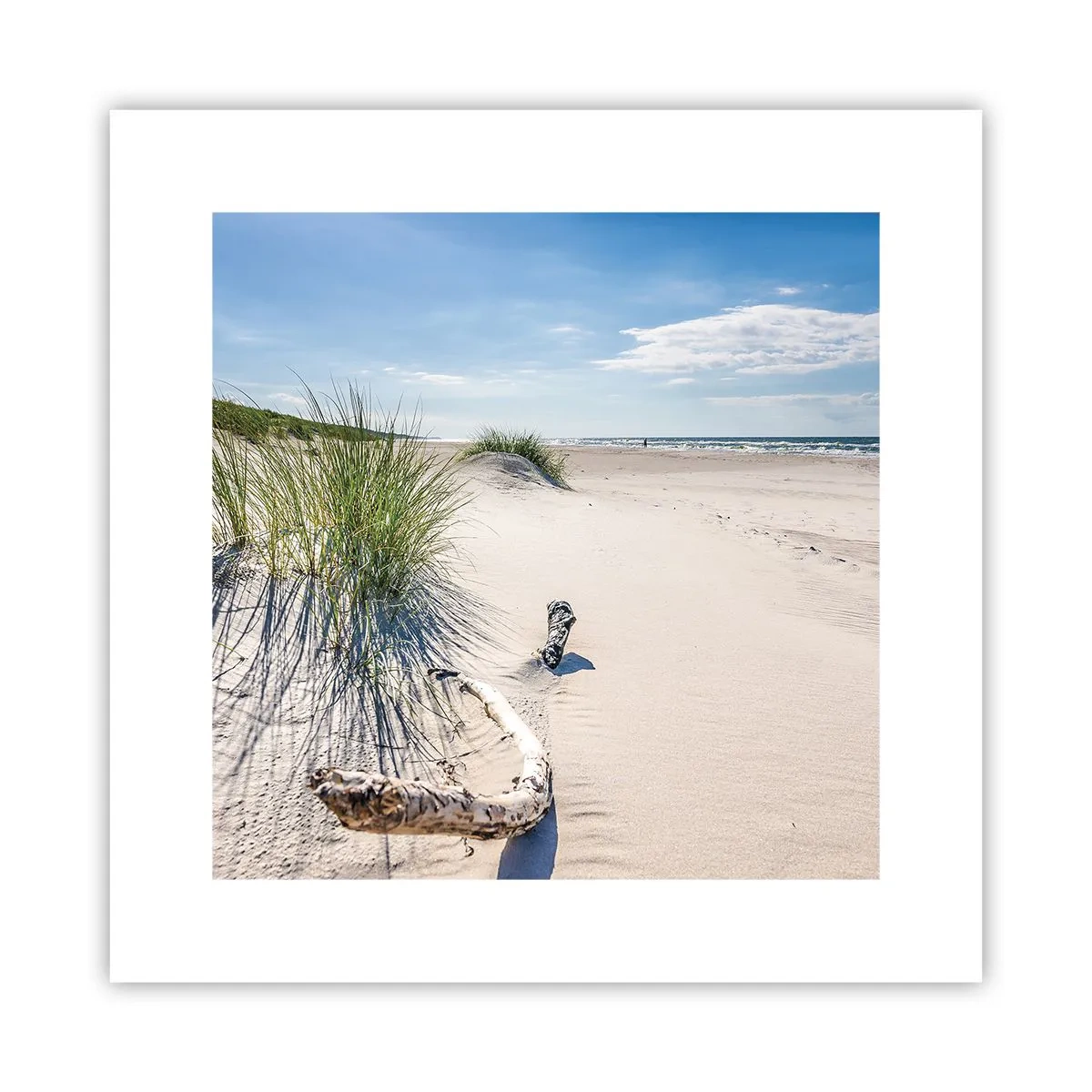 Affisch - Vackrast? Östersjöstrand - 30x30 cm