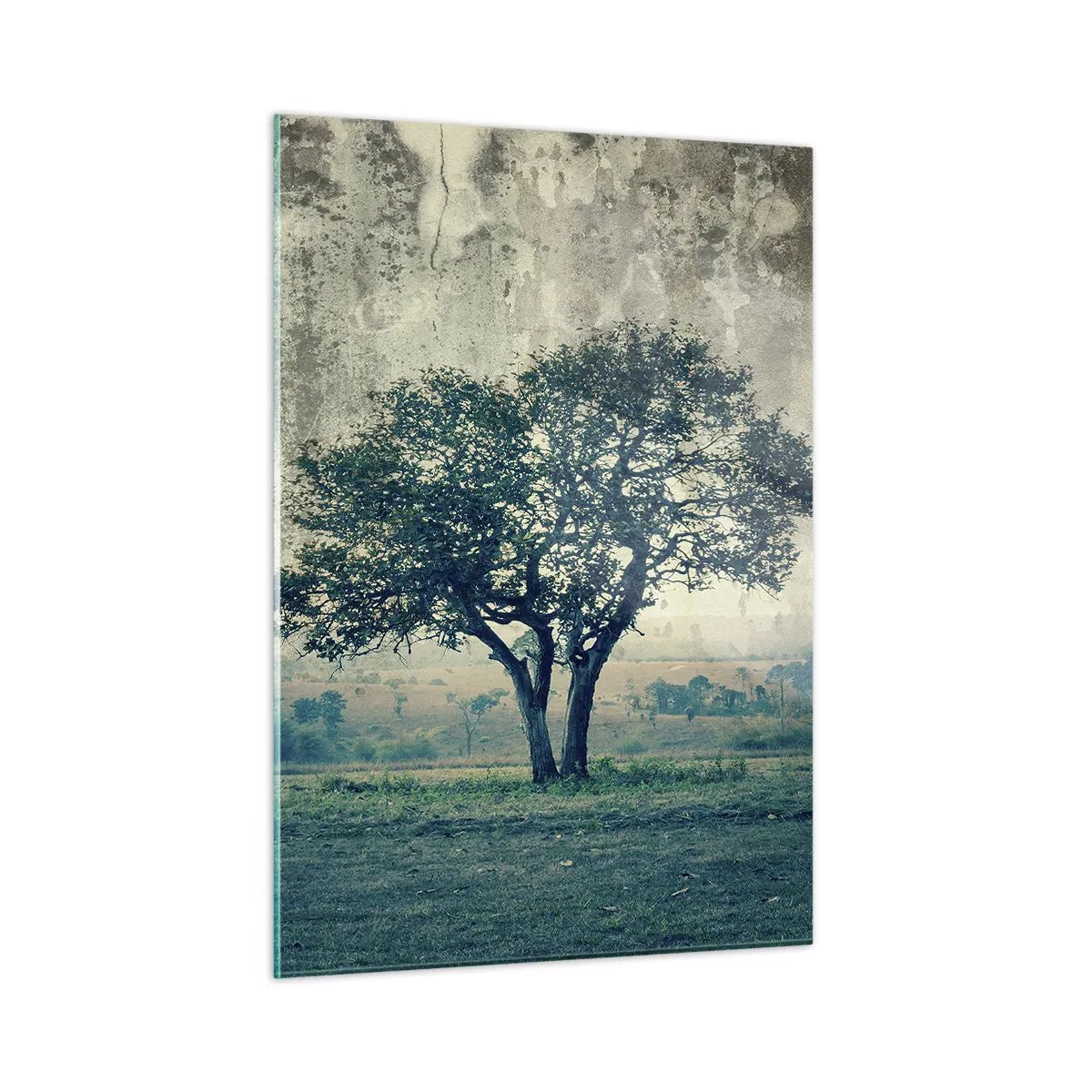 Glastavla - Bild på glas - Äppelträd på blå betesmark? - 50x70 cm