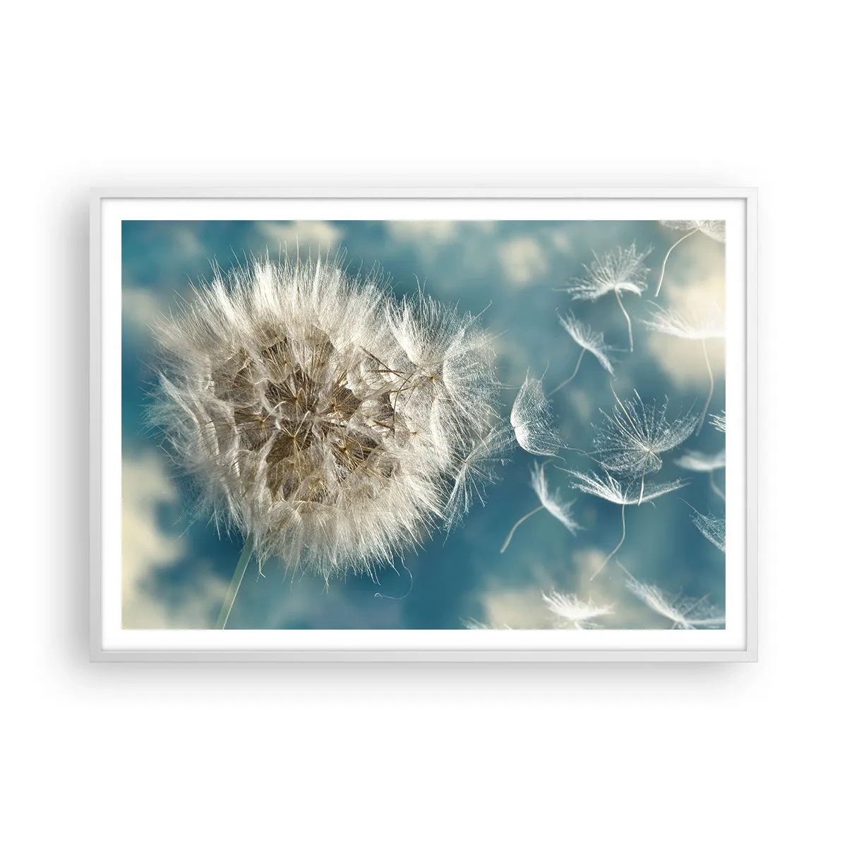 Affisch i vit ram - Ängelns andetag - 100x70 cm